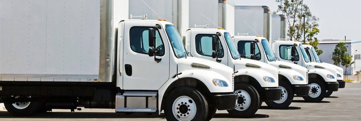 Texas State Tx Expedited Transportation Logistics Company White Glove Dallas Team Driver Texas Lift Gate Truckload Latbed Reefer Dallas Texas Usa 83